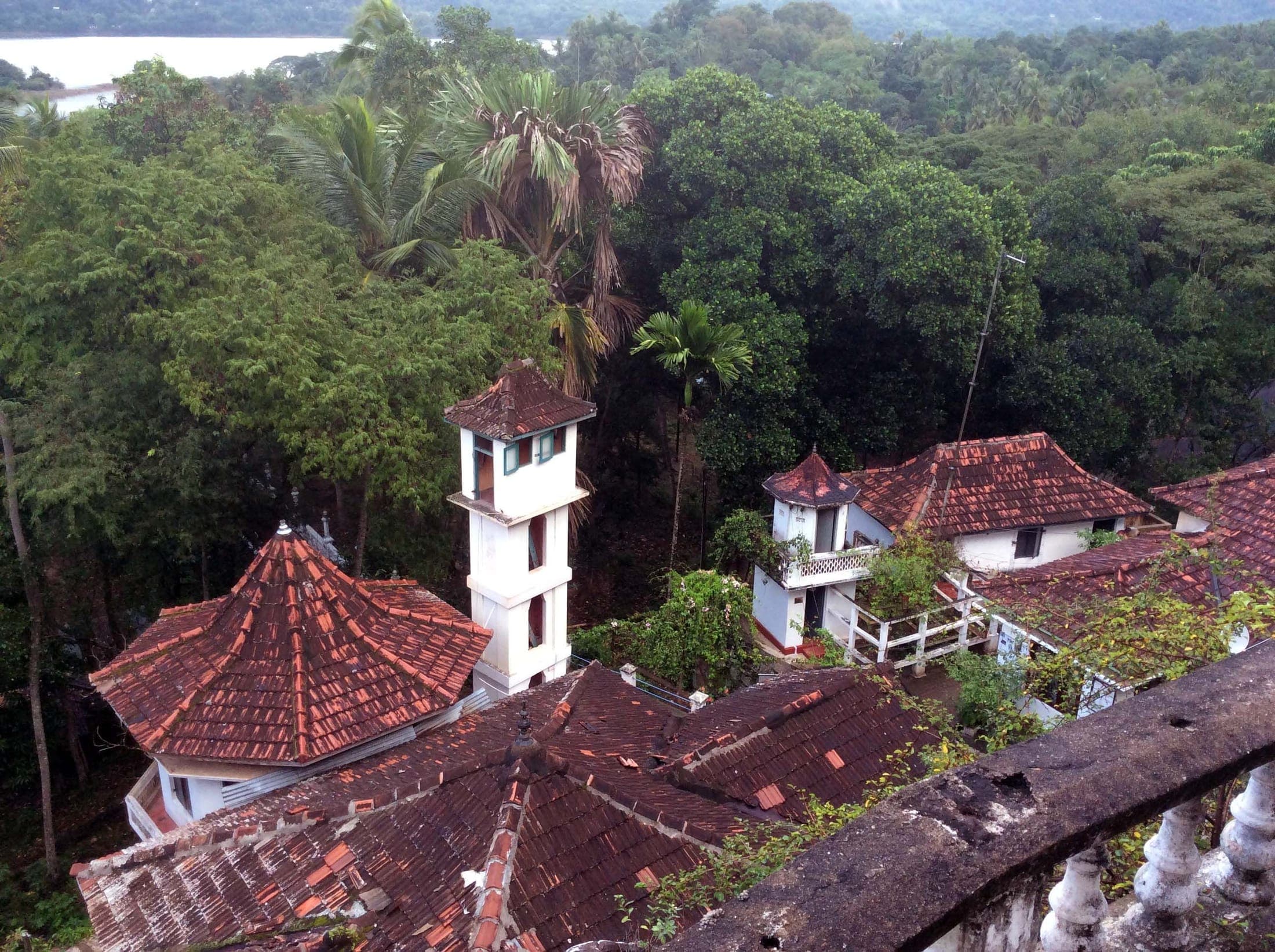 Red-roofed buildings of Bambaragala temple set in the forest
