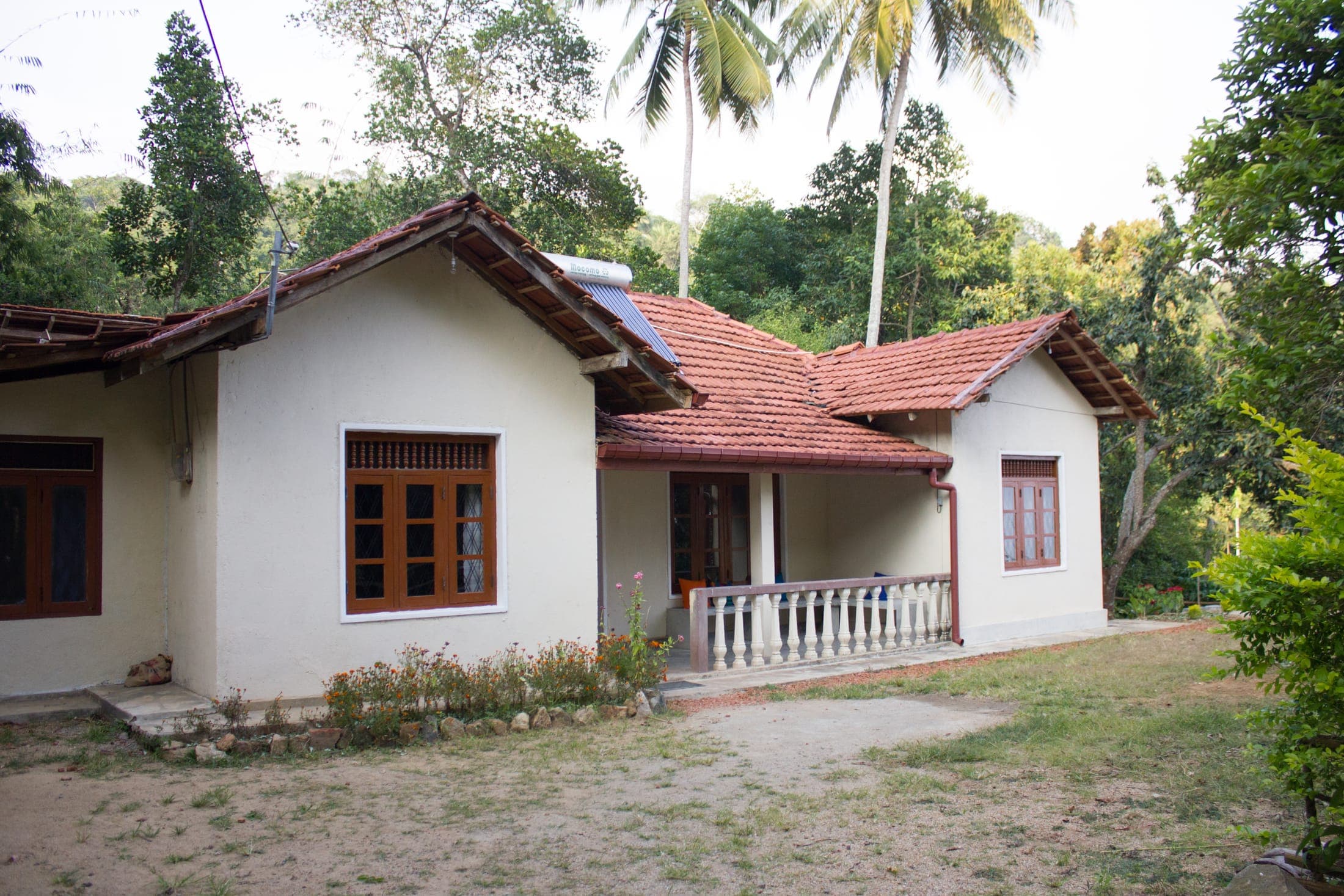 The Pepper Cottage in soft late-afternoon light, surrounded by palms and jungle
