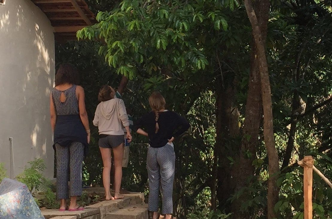 Guests watching giant squirrels in the trees beside the cottage