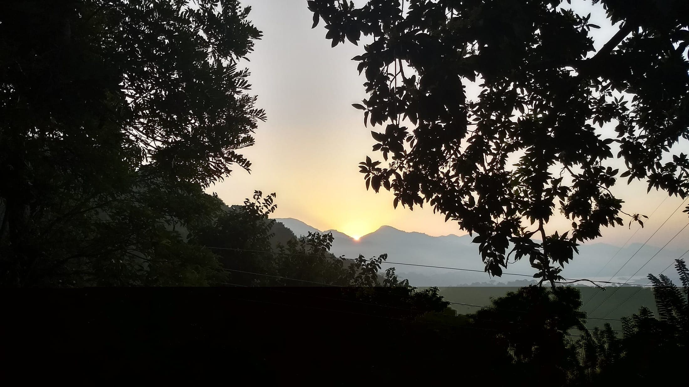 Silhouetted trees against a golden evening sky behind the cottage