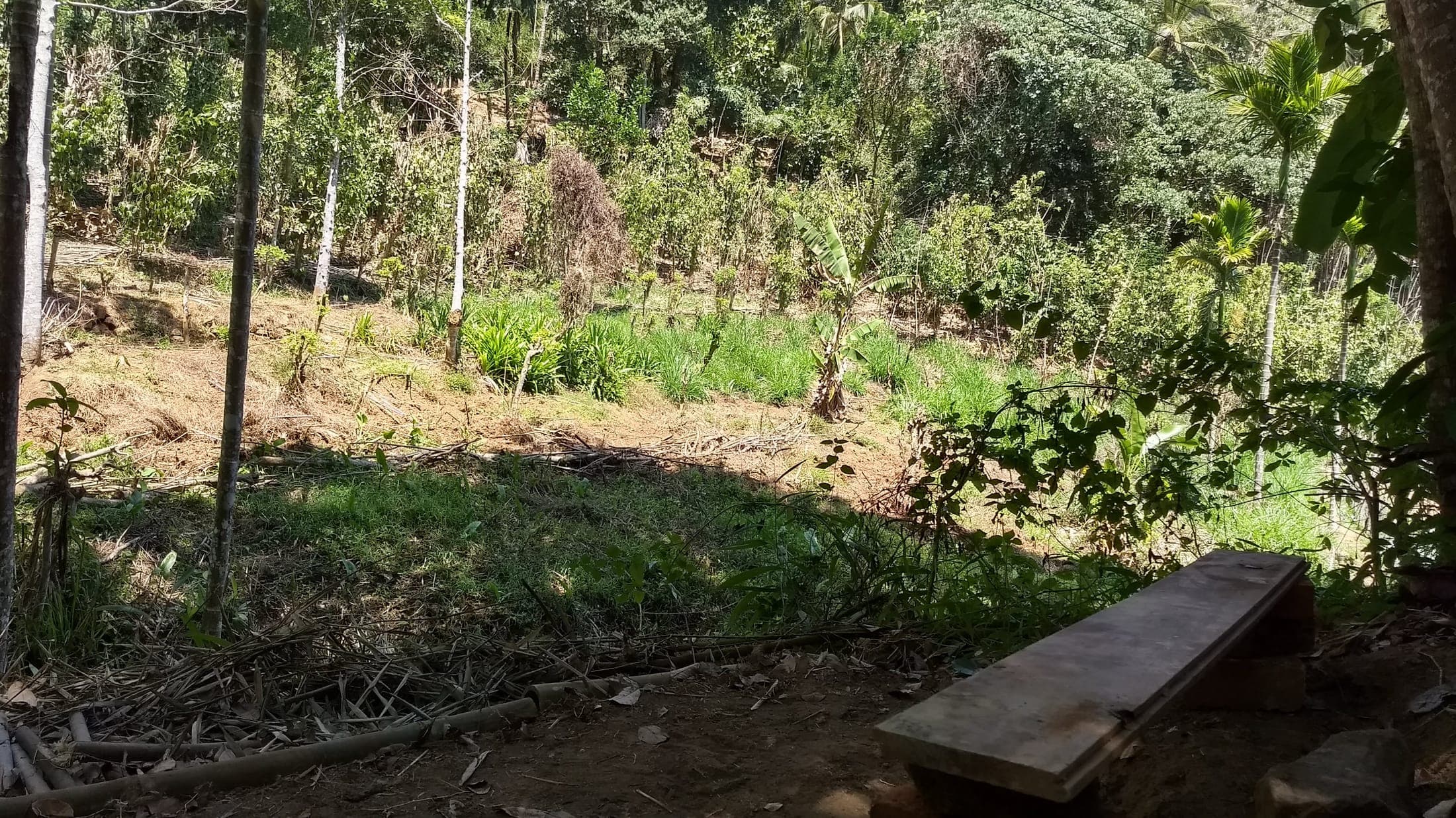 A wooden bench overlooking the terraced estate and forest