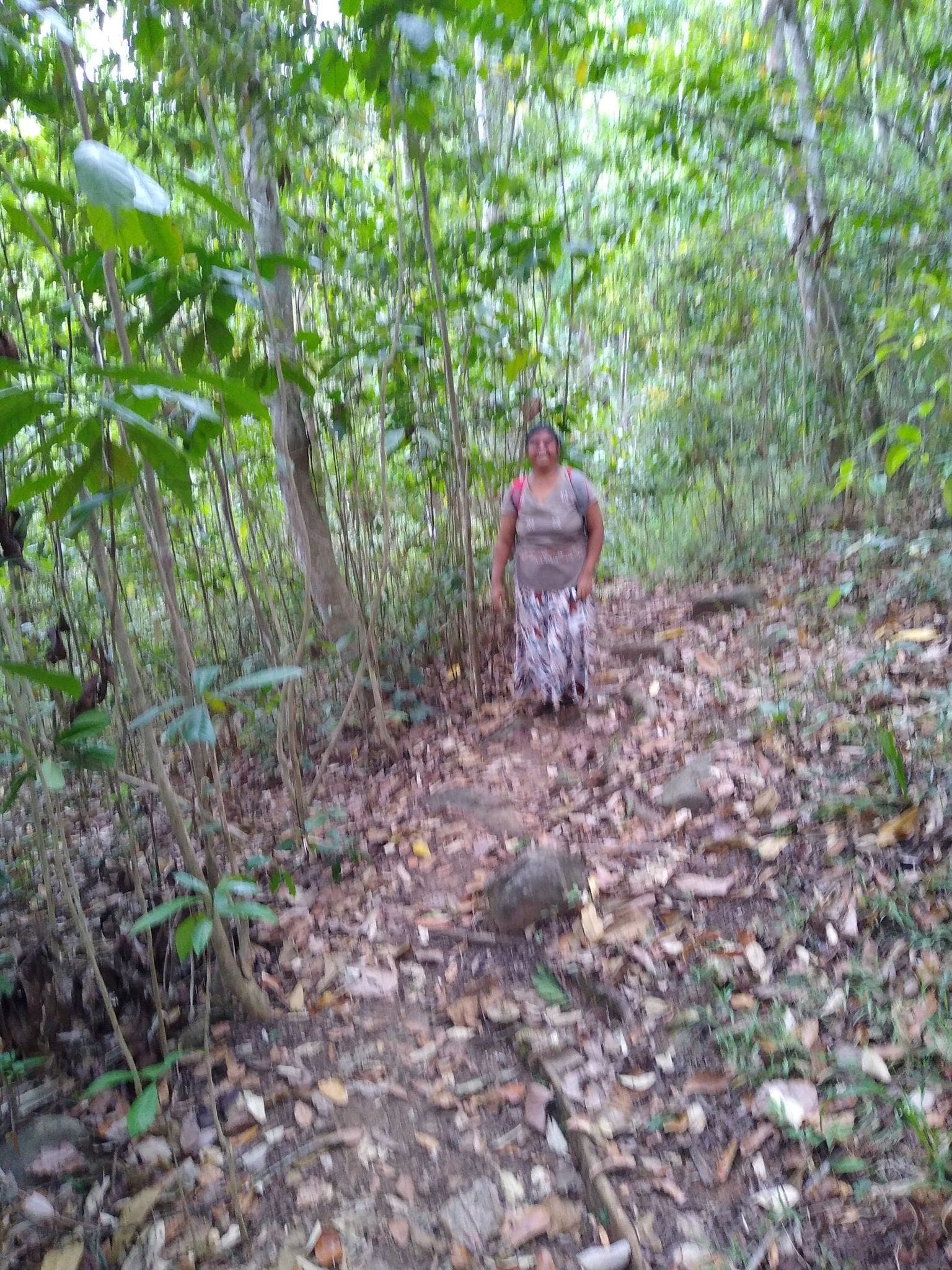 A villager on the shaded footpath through the forest gardens