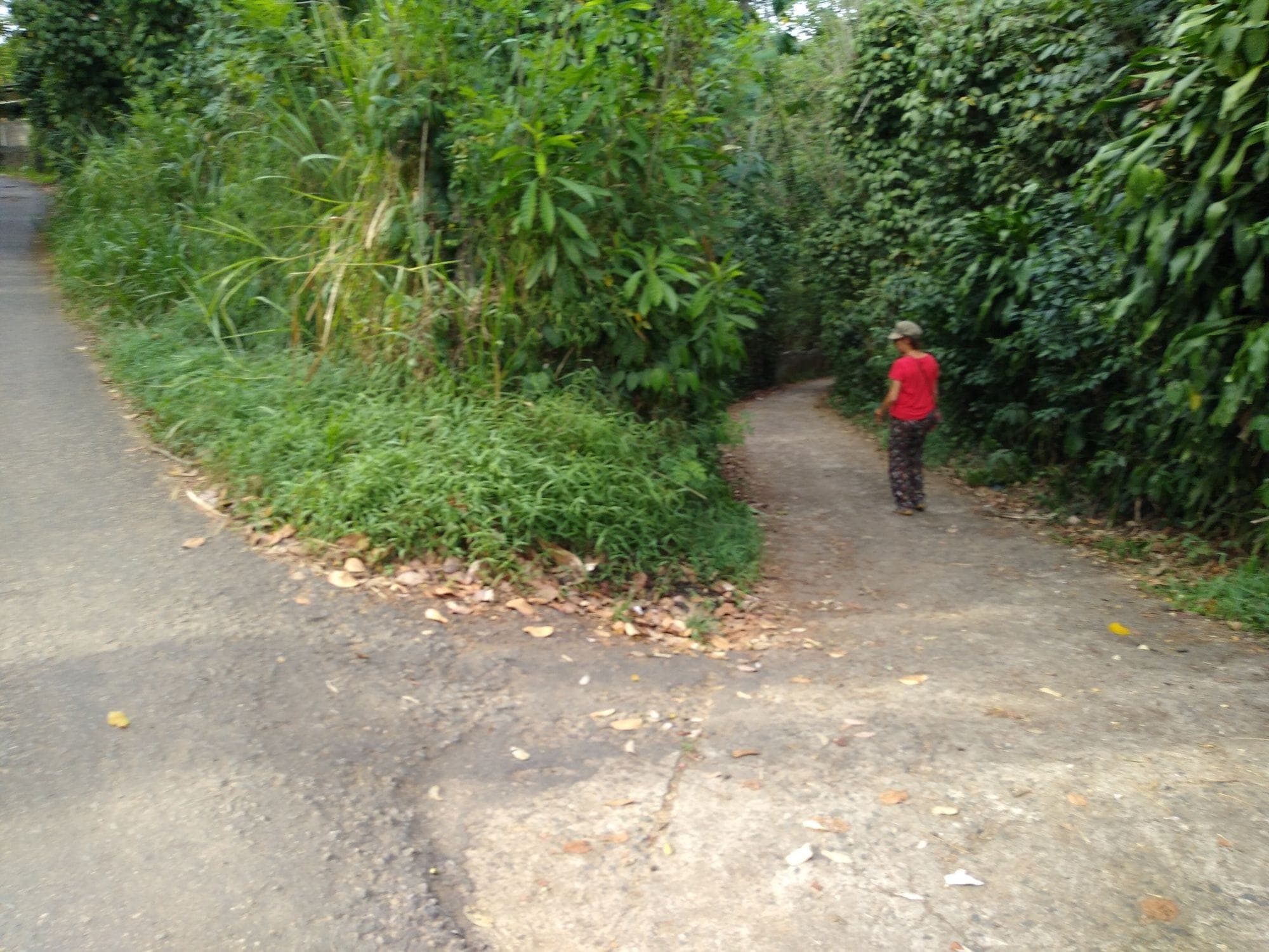 A child walking the quiet village lane where the Wepathana loop begins