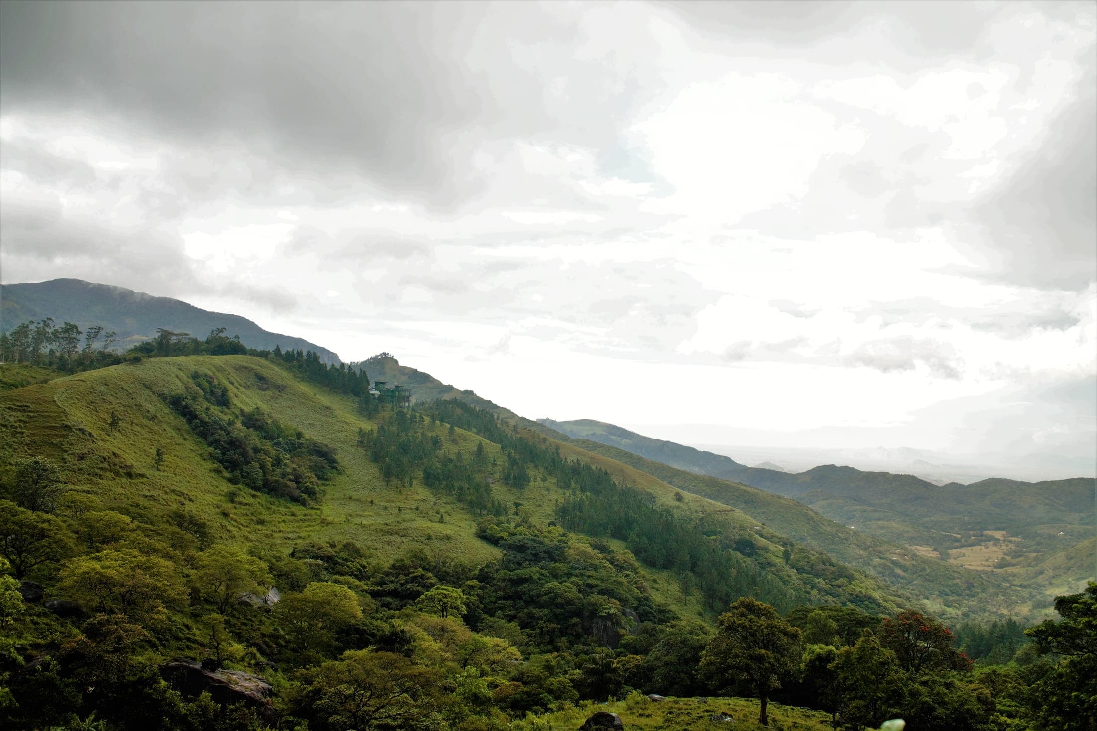 Rolling green hills and forest in the Knuckles Range
