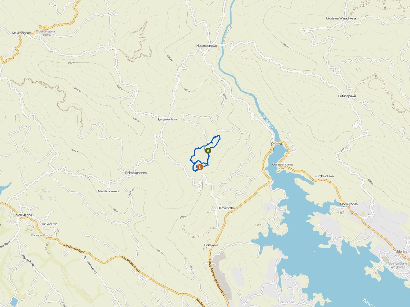 Map of the Forest Healing Fund loop through the replanted forest above the cottage