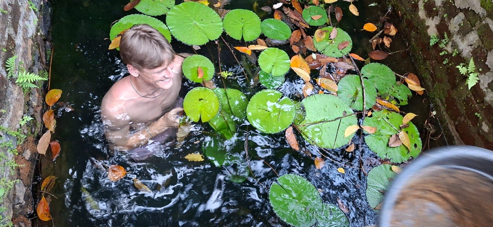 A guest cooling off among the water lilies in one of the ponds